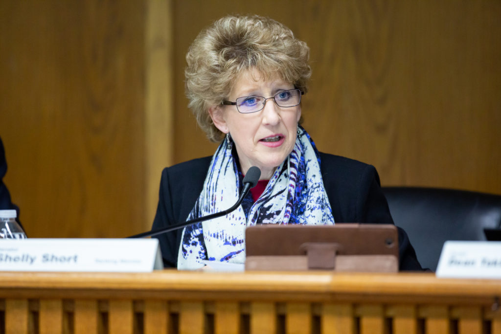 Sen. Short discusses her GMA bills in the Senate Local Government Committee.